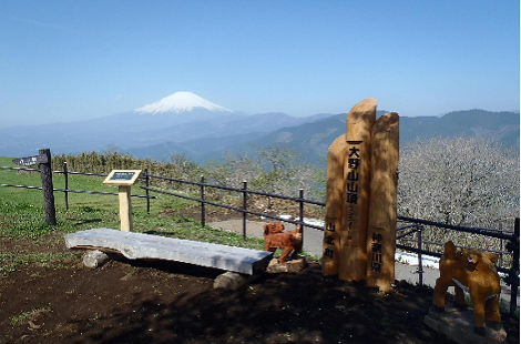 大野山山頂からの富士2