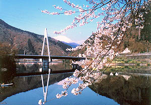 春の丹沢湖