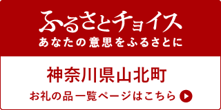 ふるさとチョイス