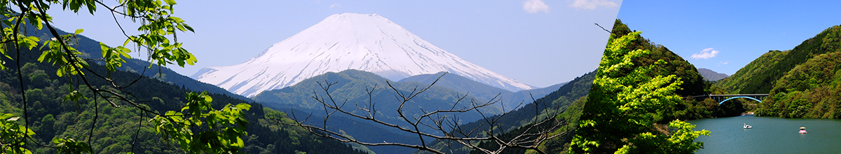 町の紹介・取り組み