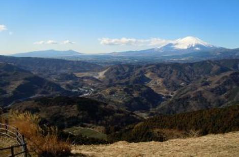 大野山山頂からの富士山1