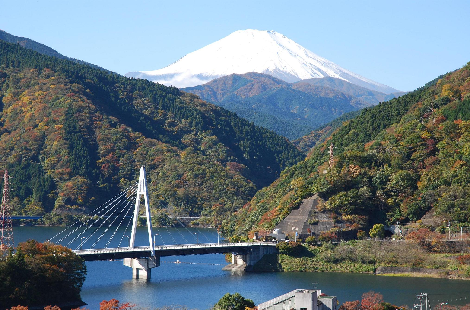 千代の沢園地からの丹沢湖