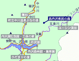 ハイキング 神奈川県 森林浴 西丹沢県民の森 