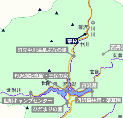 箒杉(ほうきすぎ）神奈川県 国指定天然記念物 全国名木百選