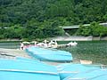 日帰り釣りドライブ ワカサギ釣り 湖 ボート遊び 神奈川県 丹沢湖 焼津ボート乗り場