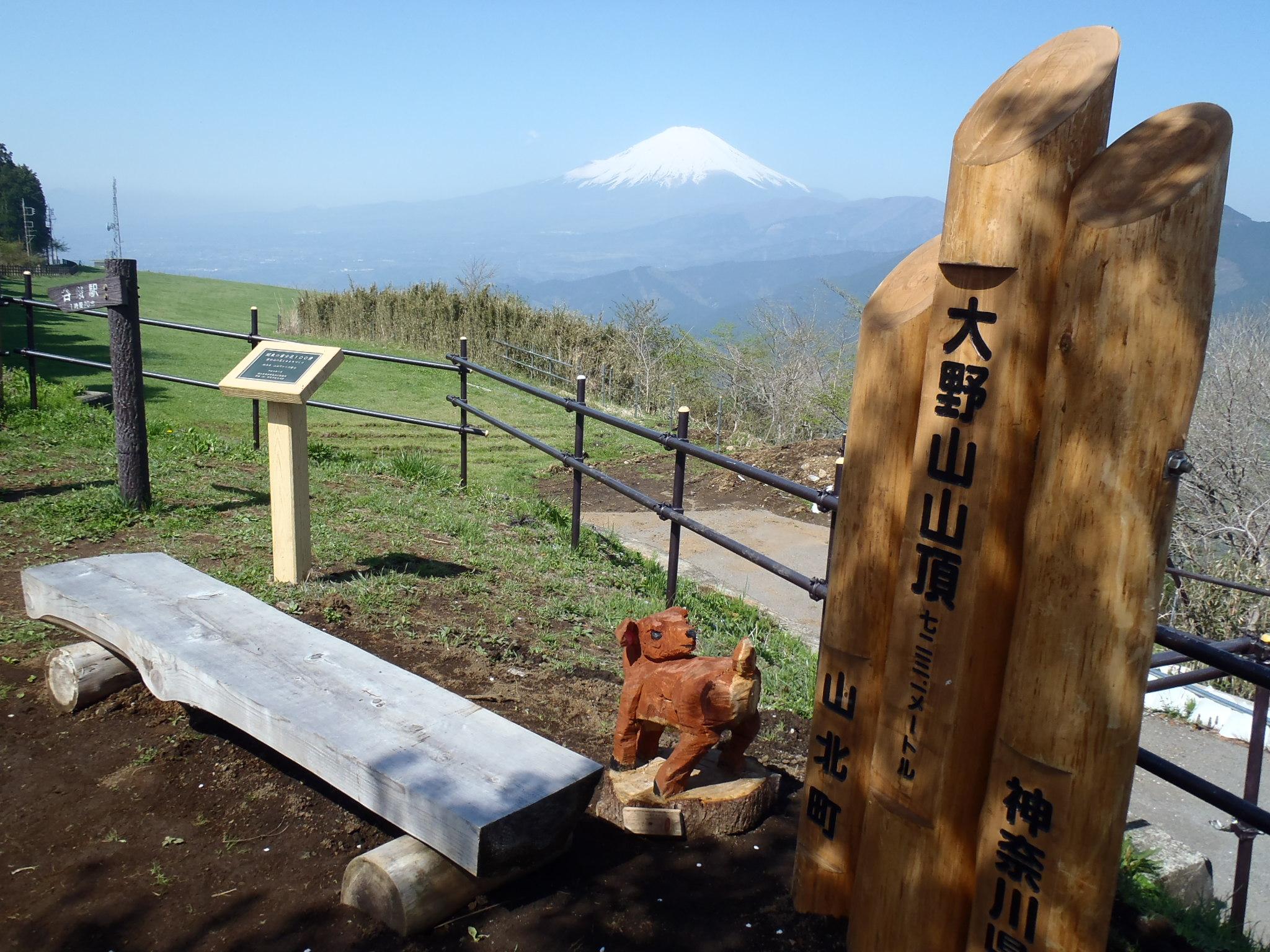 大野山山頂からの富士山