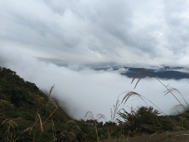 雲海