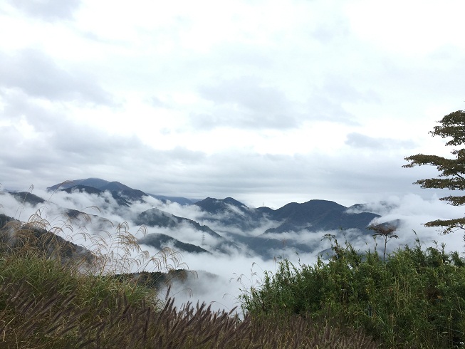 雲海