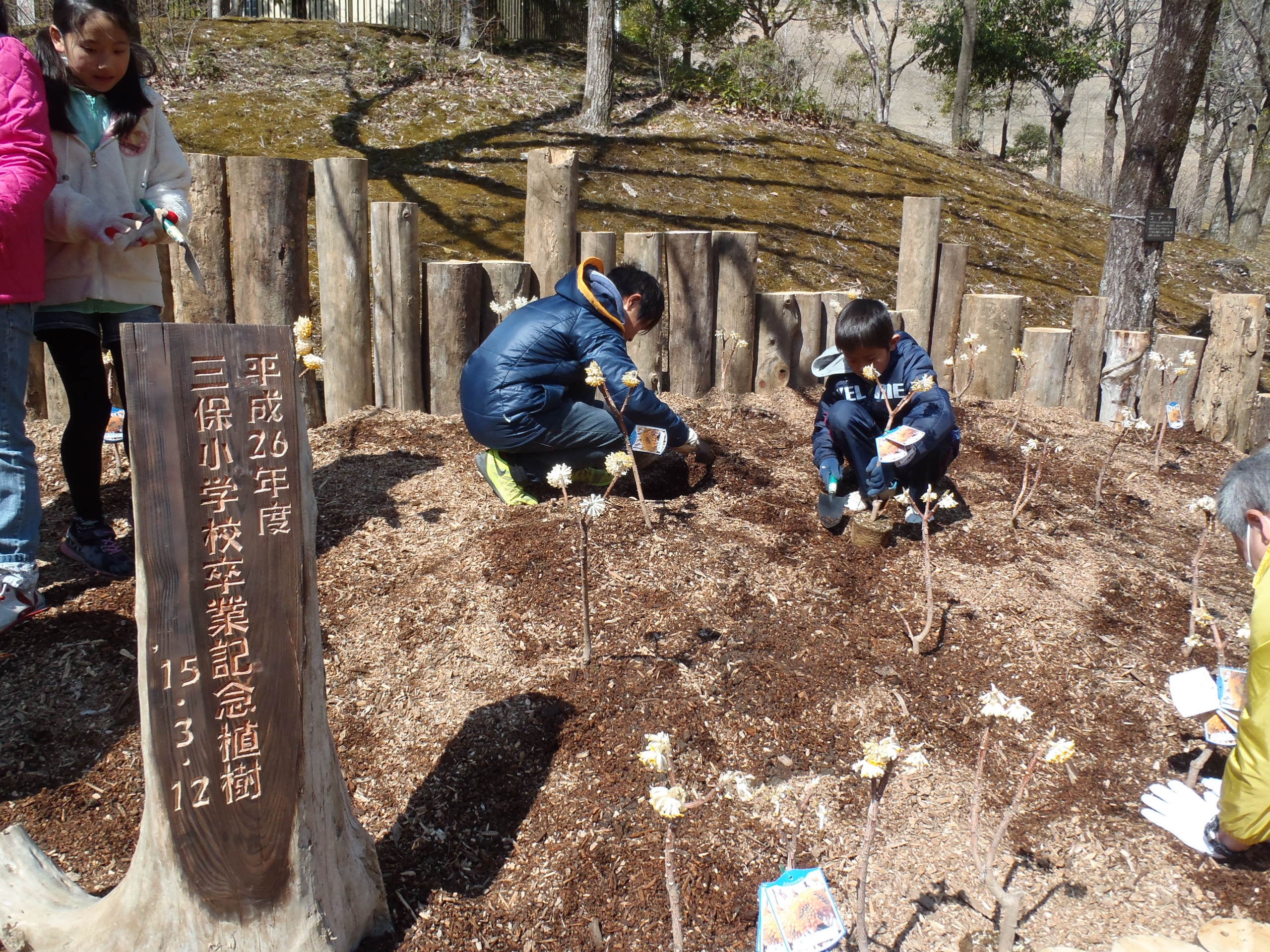 植樹の様子