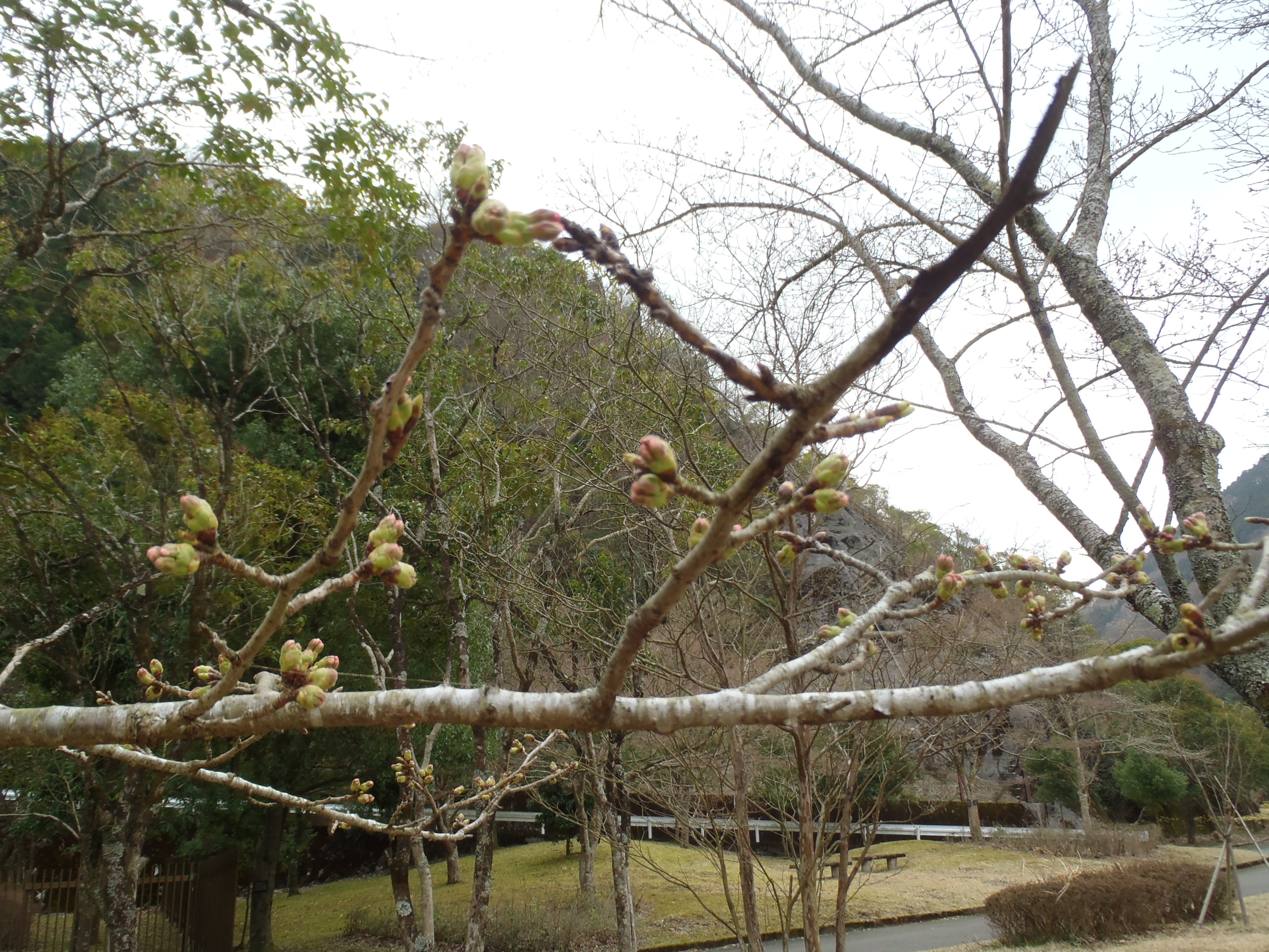 ダム広場