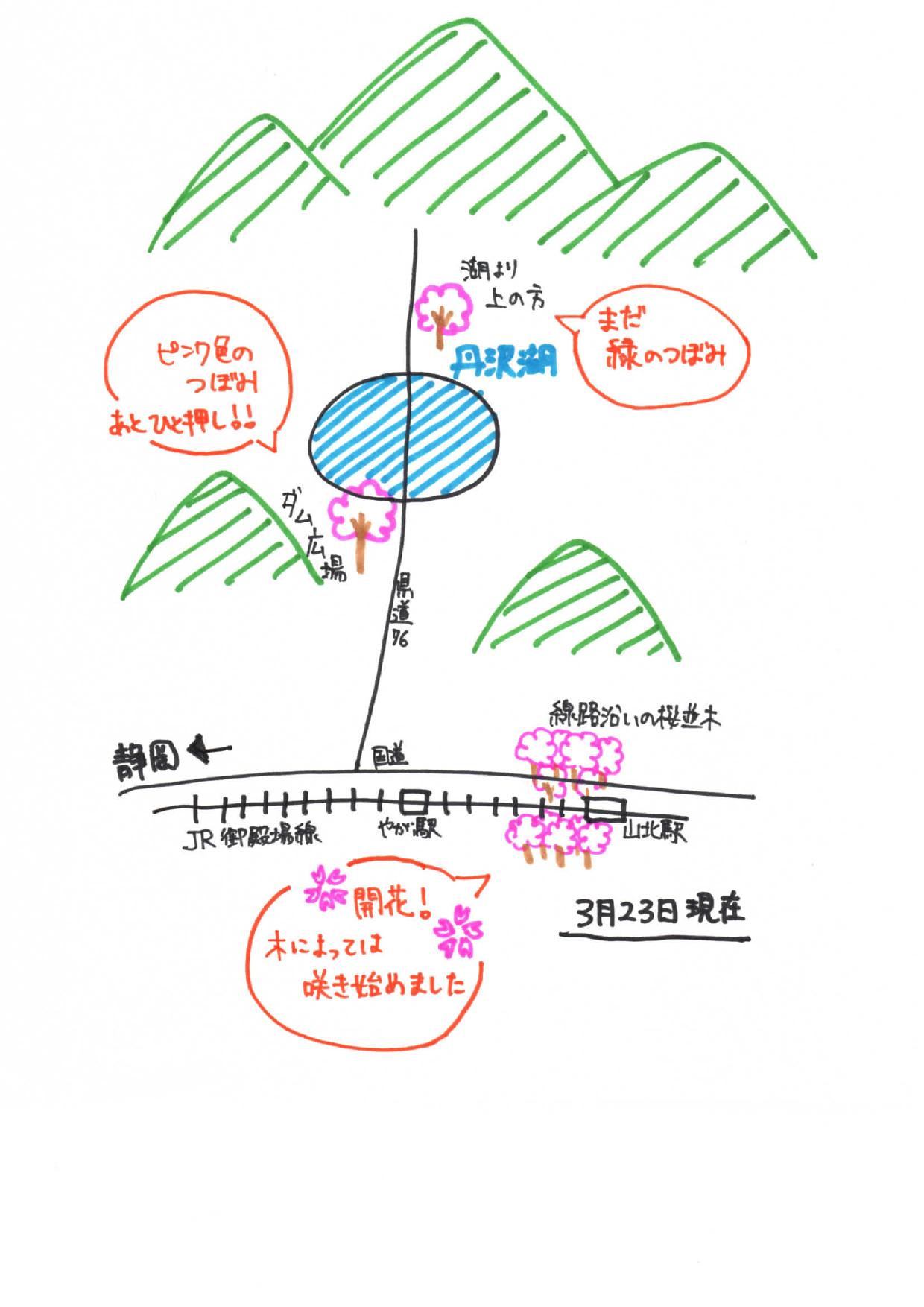 桜マップ