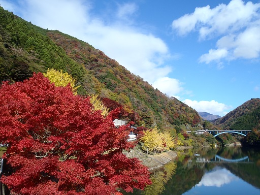 ベストショット紅葉