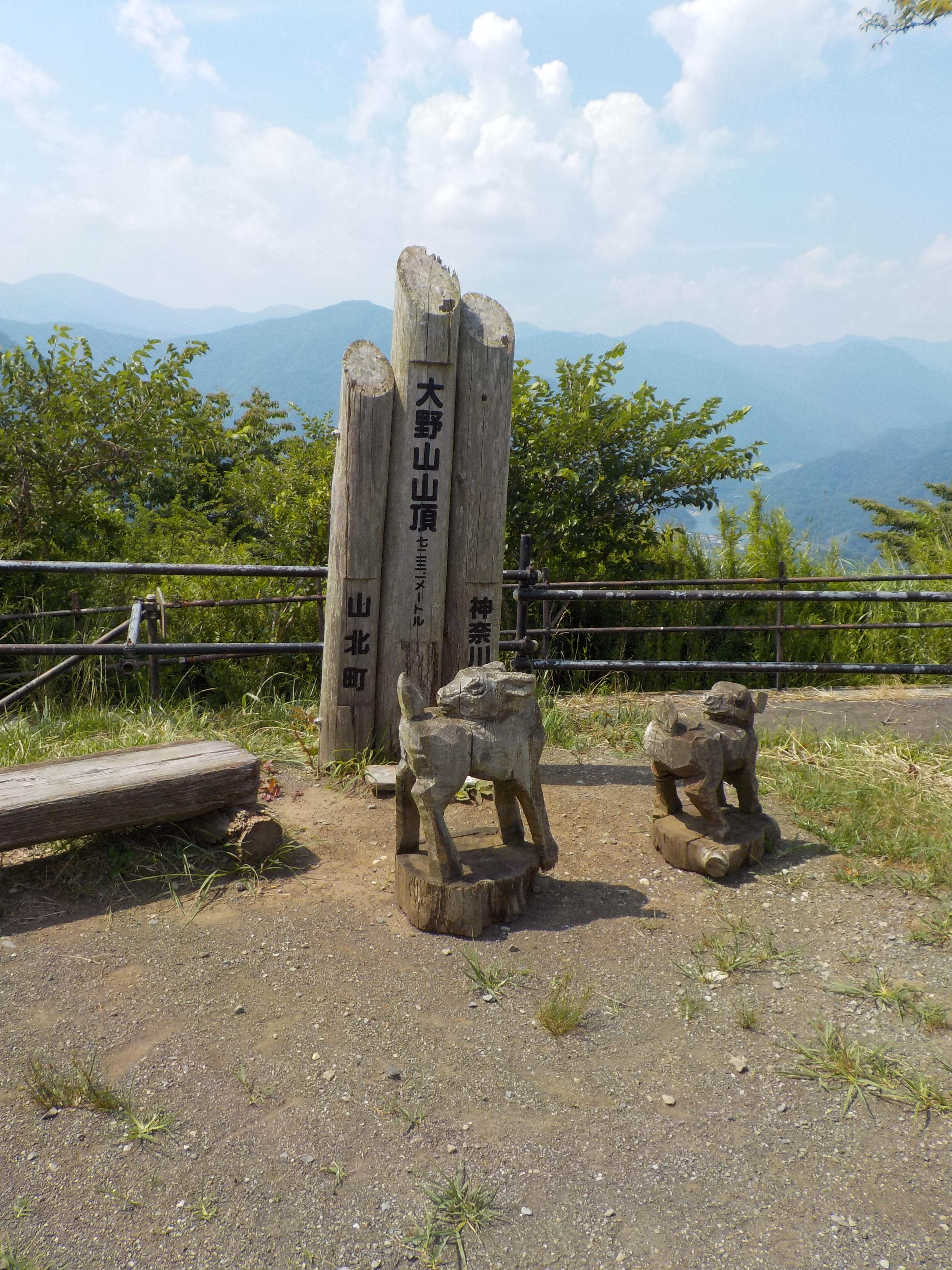 大野山頂上