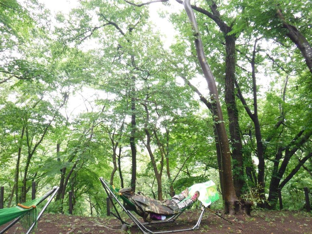 森林セラピー1